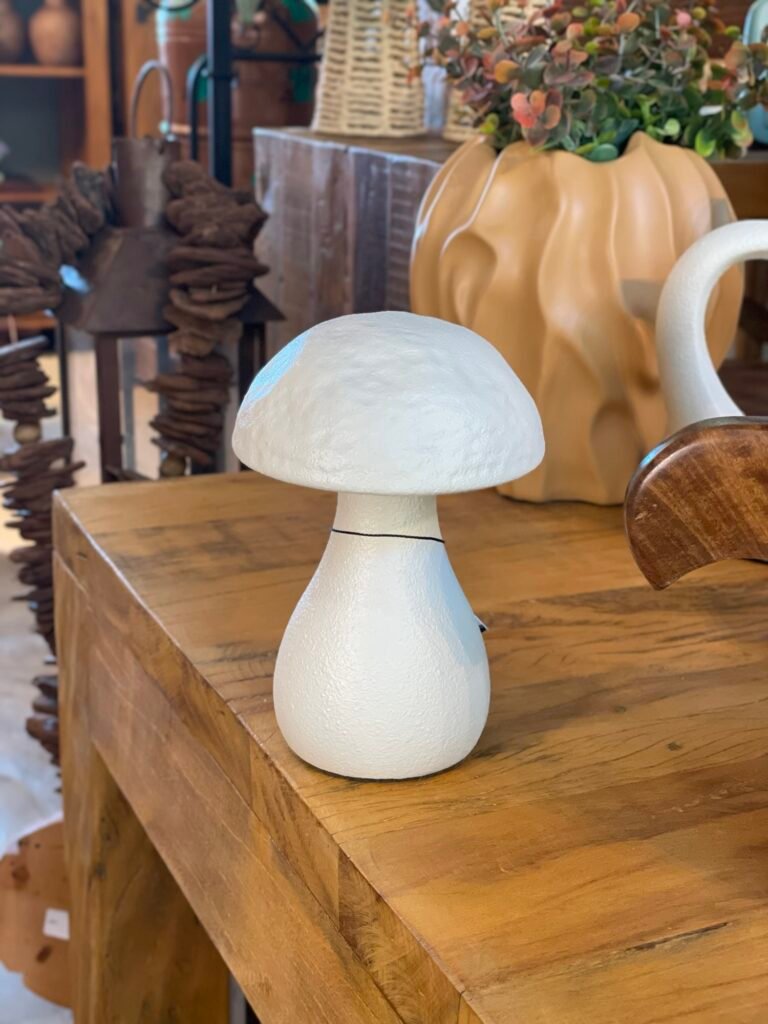 COGUMELO DECOR P