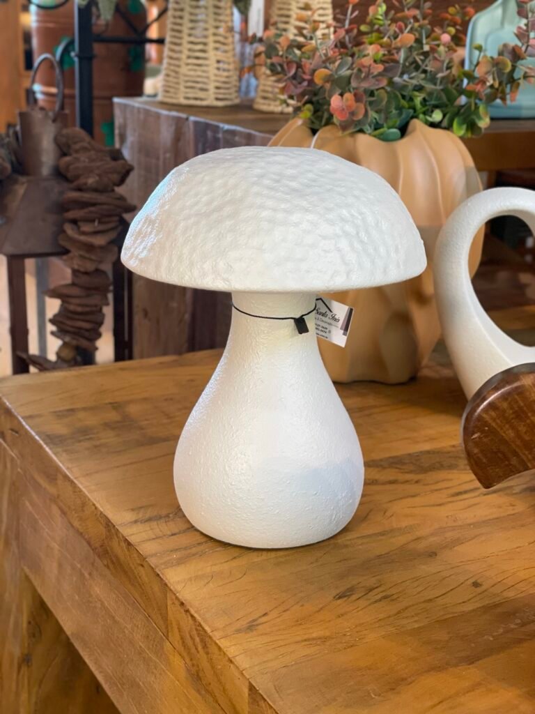 COGUMELO DECOR G